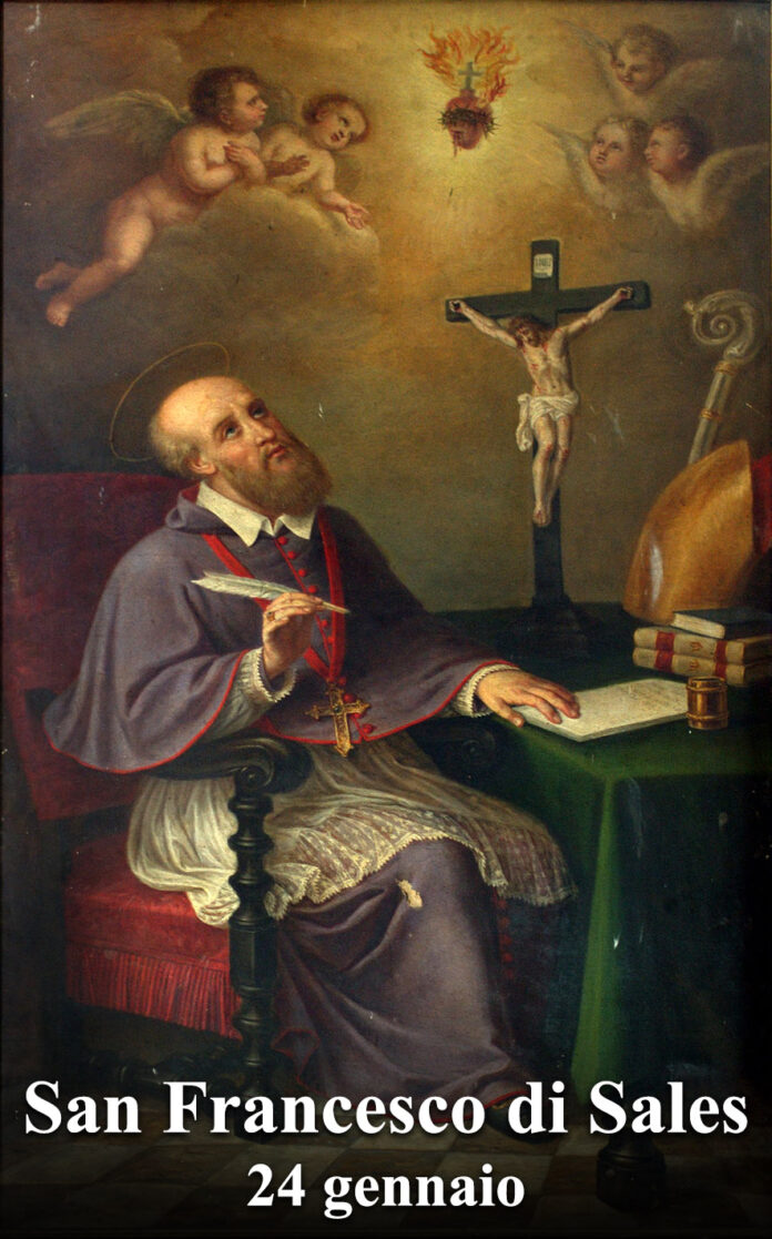 Il 24 gennaio si venera:
 San Francesco di Sales